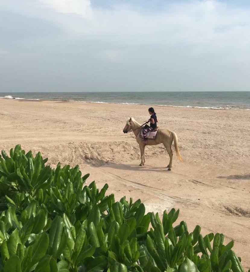 تشا أم Rain Condo Chaam Huahin By Ay B311 المظهر الخارجي الصورة